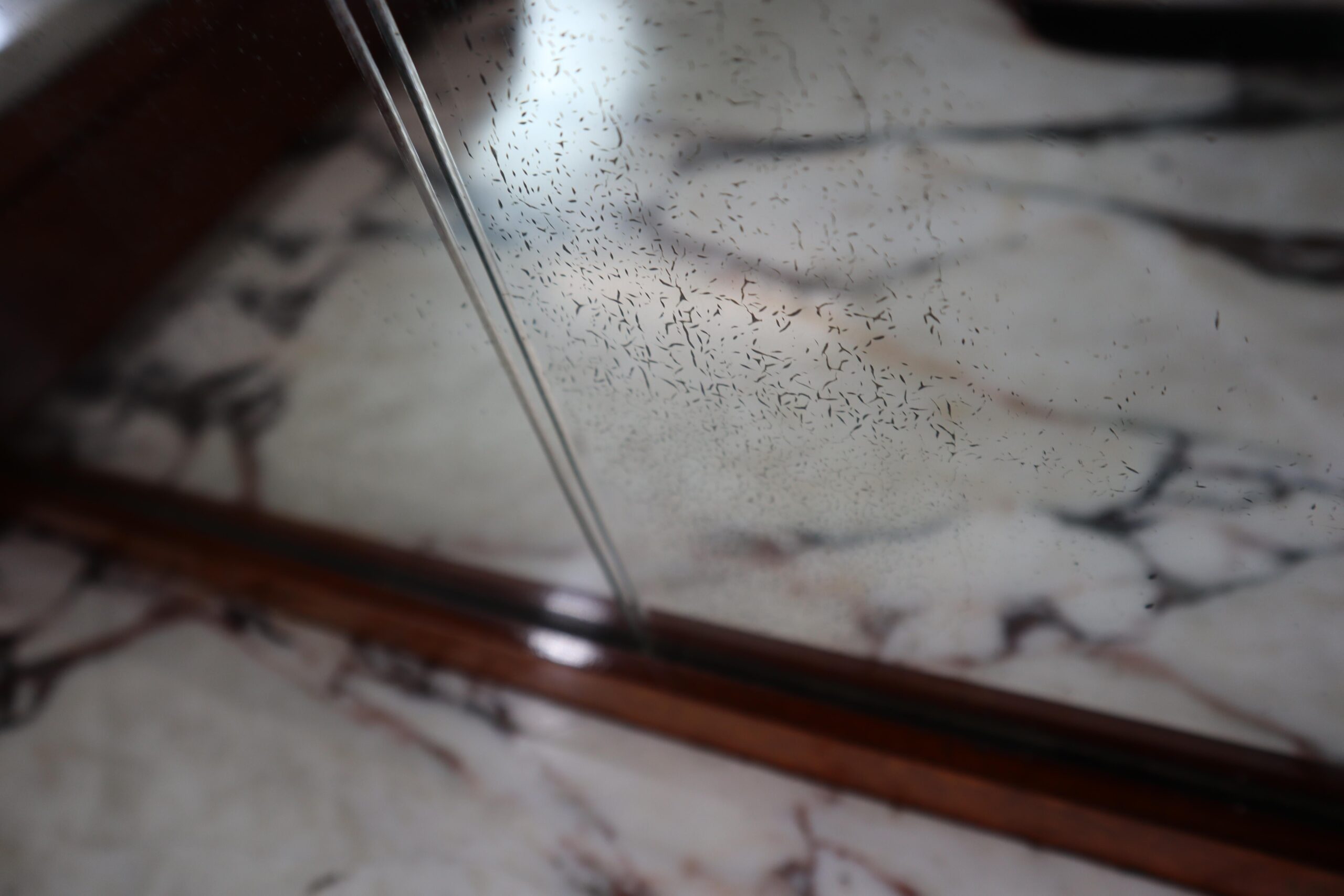 Art Deco buffet, Macassar Ebony and Walnut Burl, 1920-1930
