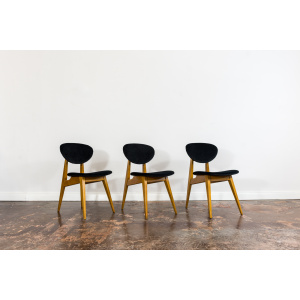 Mid-Century Chairs By Juliusz Kędziorek, Poland, 1960s, Set Of 3