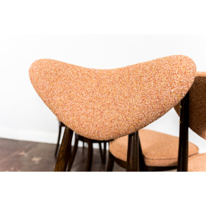 Model No. 124 Chairs By Helena & Jerzy Kurmanowicz, 1960s, Poland, Set Of 5