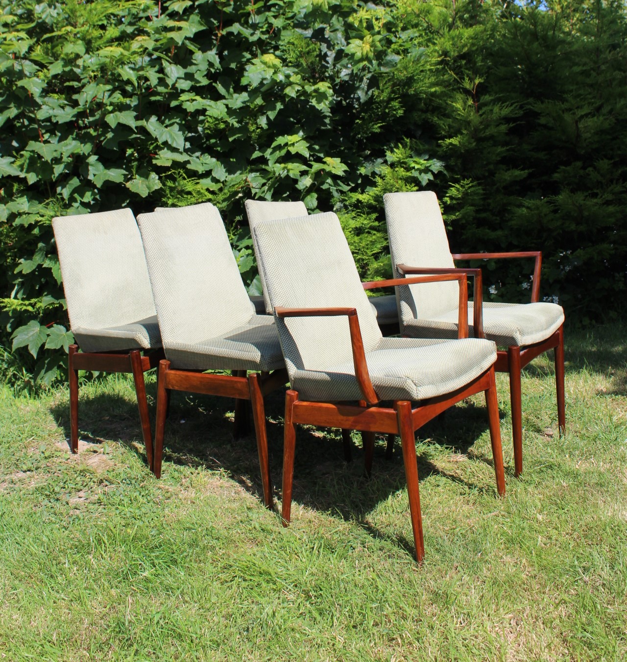 Mid Century Hamilton Dining Chairs By Robert Heritage For Archie Shine