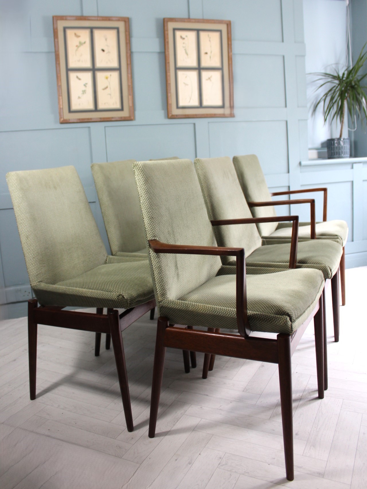Mid Century Hamilton Dining Chairs By Robert Heritage For Archie Shine