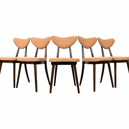 Model No. 124 Chairs By Helena & Jerzy Kurmanowicz, 1960s, Poland, Set Of 5