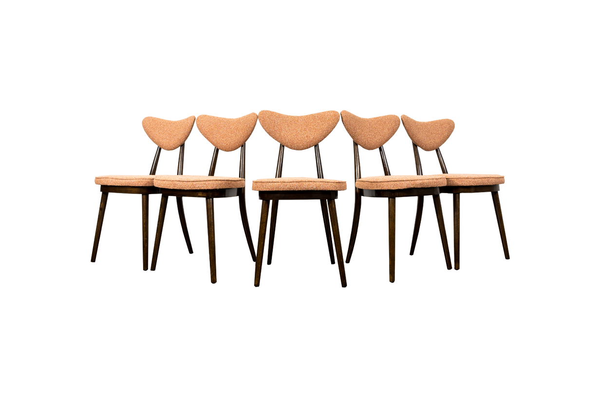 Model No. 124 Chairs By Helena & Jerzy Kurmanowicz, 1960s, Poland, Set Of 5