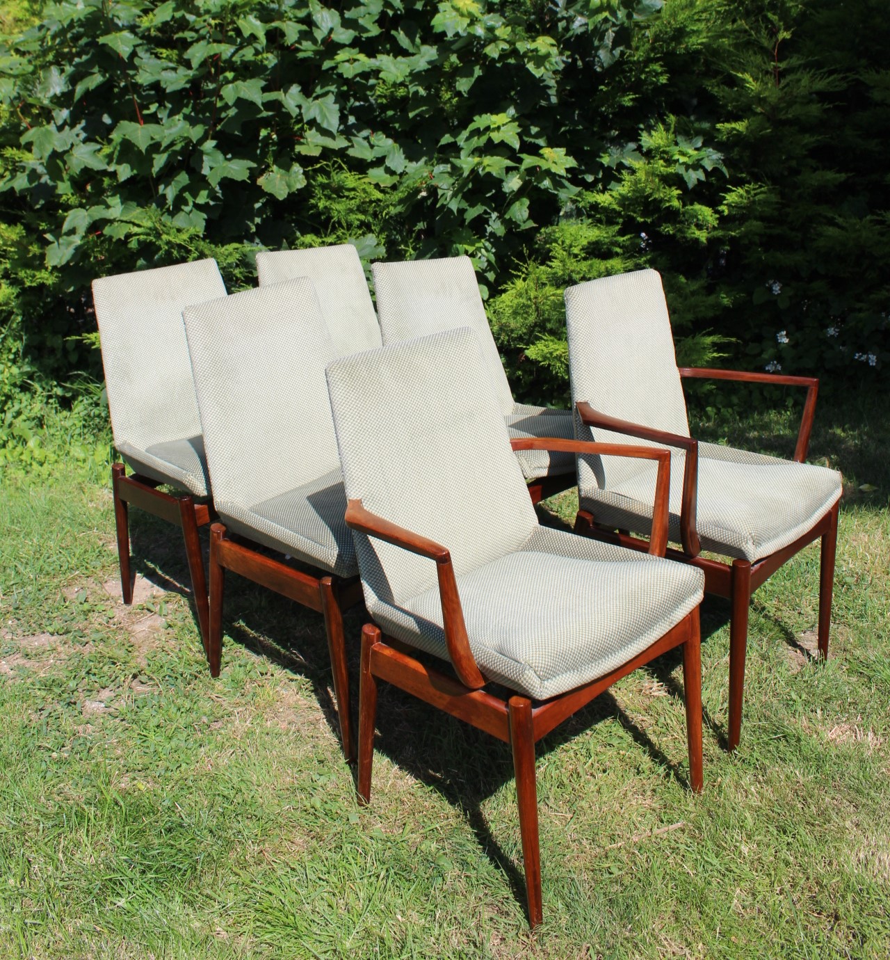 Mid Century Hamilton Dining Chairs By Robert Heritage For Archie Shine