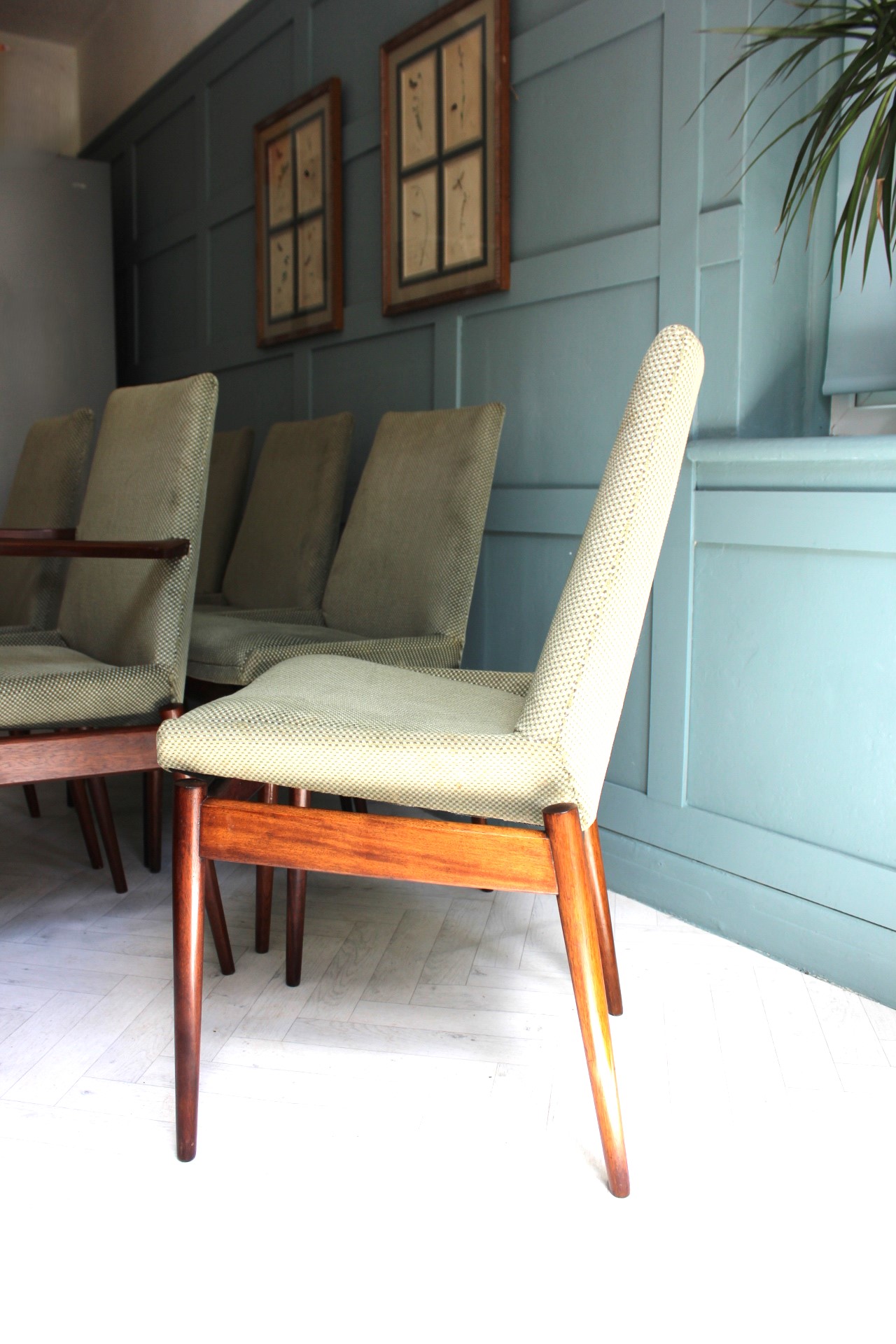 Mid Century Hamilton Dining Chairs By Robert Heritage For Archie Shine