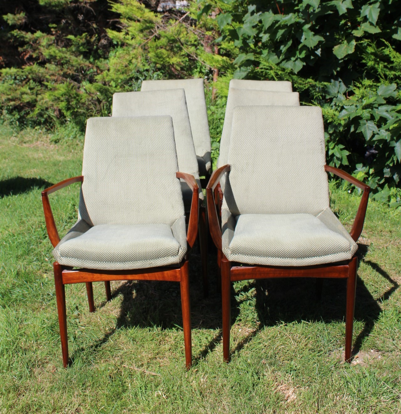 Mid Century Hamilton Dining Chairs By Robert Heritage For Archie Shine