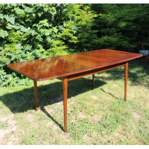 Mid Century Hamilton Rosewood Dining Table By Robert Heritage For Archie Shine