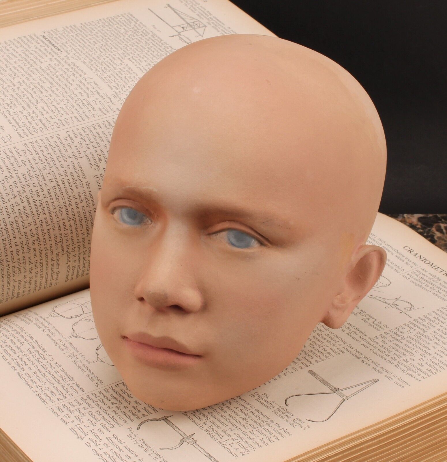 Model Sculptured Head Of Prince Albert Victor