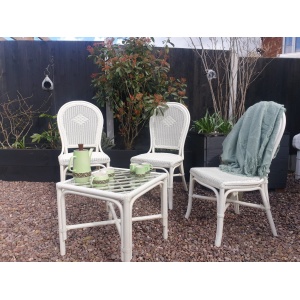 Bamboo and rattan conservatory set