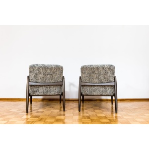 Pair Of “Gfm 64” Armchairs By Edmund Homa, Poland, 1960s