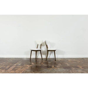 Model No. 124 Chairs By Helena & Jerzy Kurmanowicz, 1960s, Poland, Set Of 6