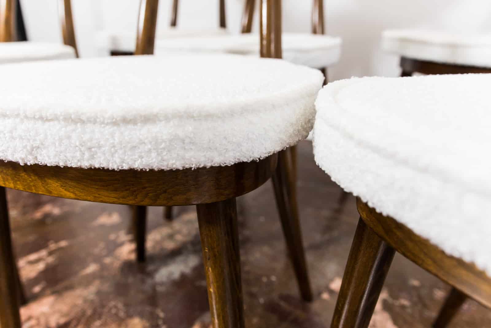 Model No. 124 Chairs By Helena & Jerzy Kurmanowicz, 1960s, Poland, Set Of 6