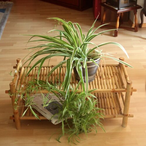Plant stand made of bamboo, shoe shelf, Vintage