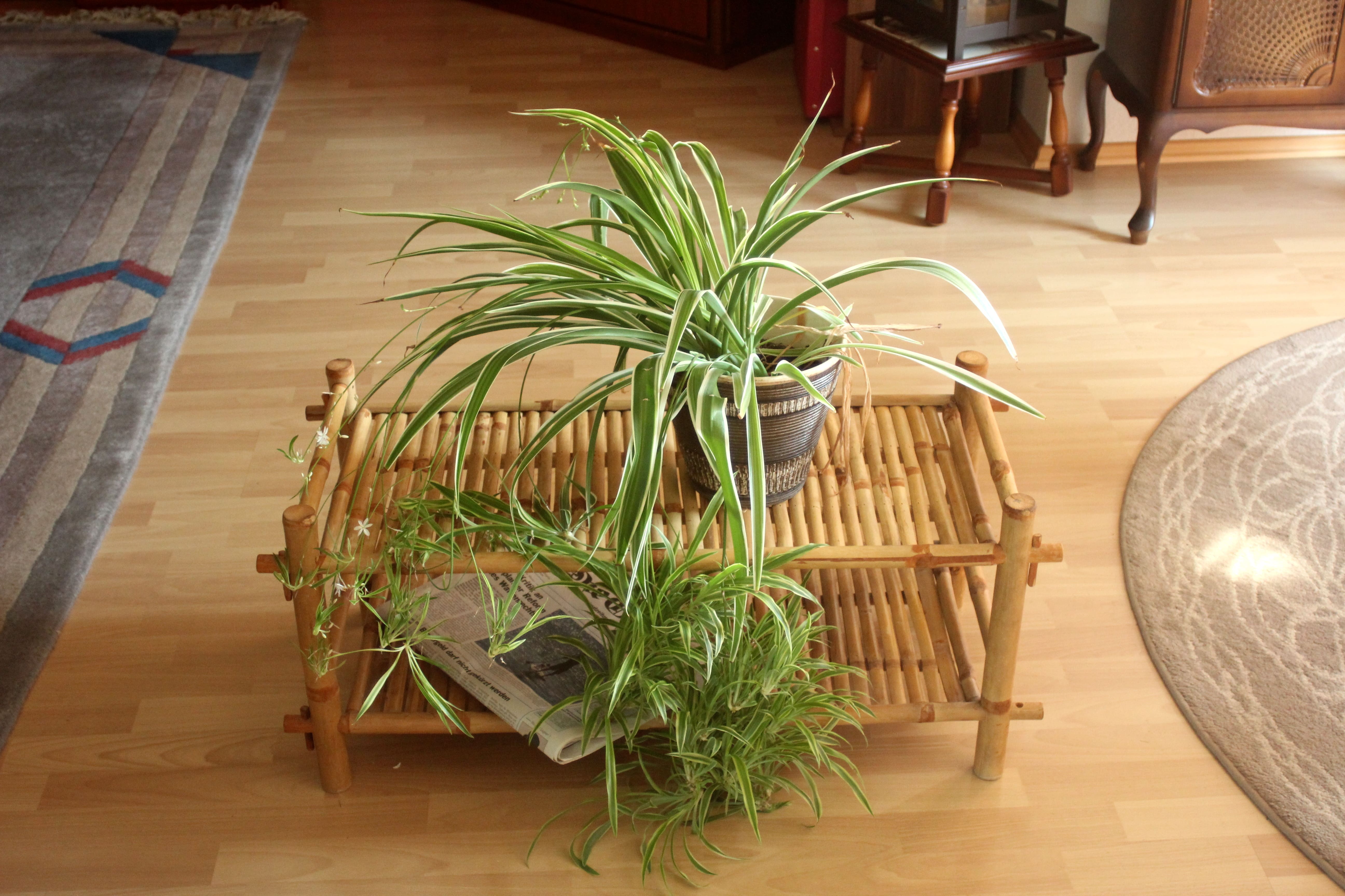 Plant stand made of bamboo, shoe shelf, Vintage