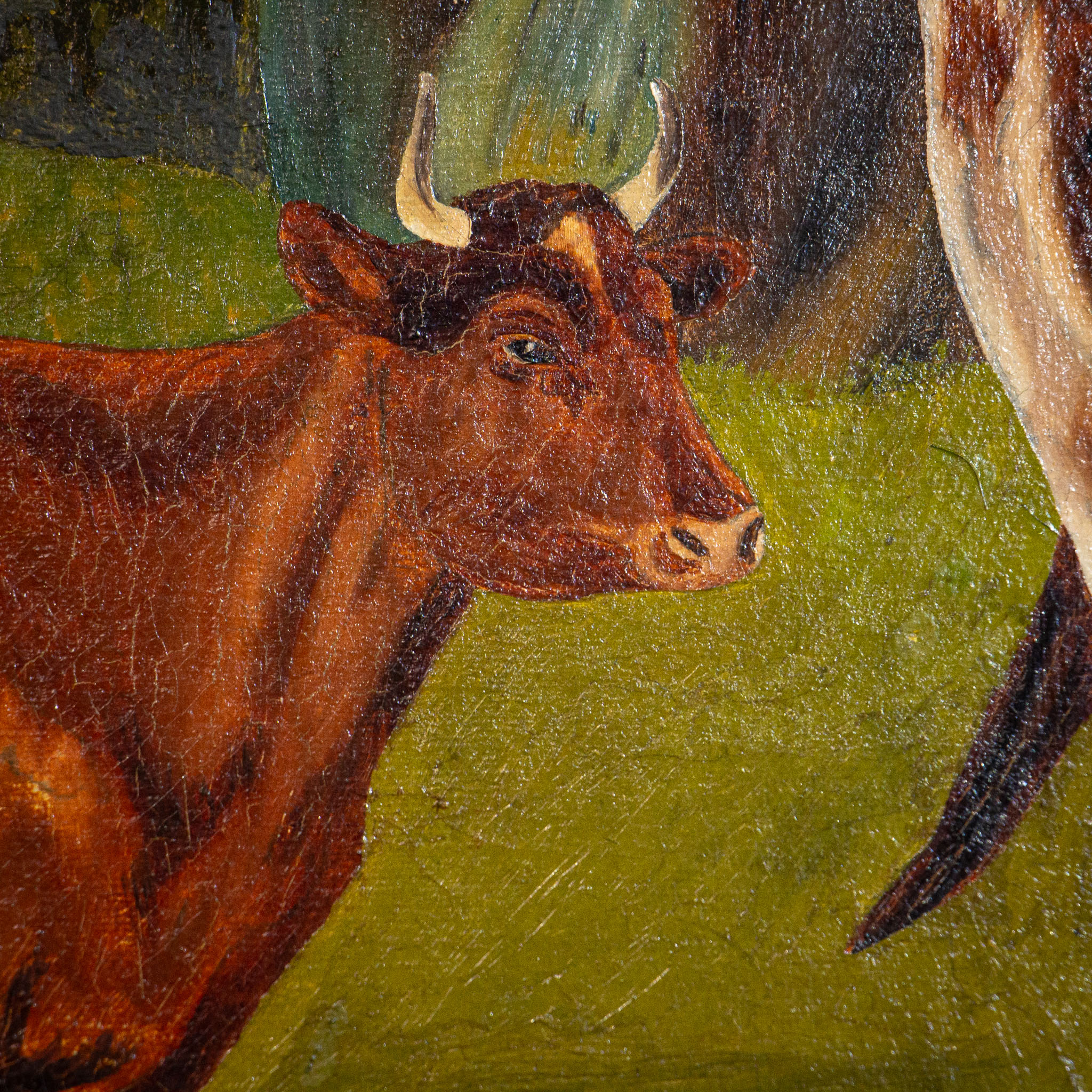 19th Century Oil on Canvas Painting of Cattle