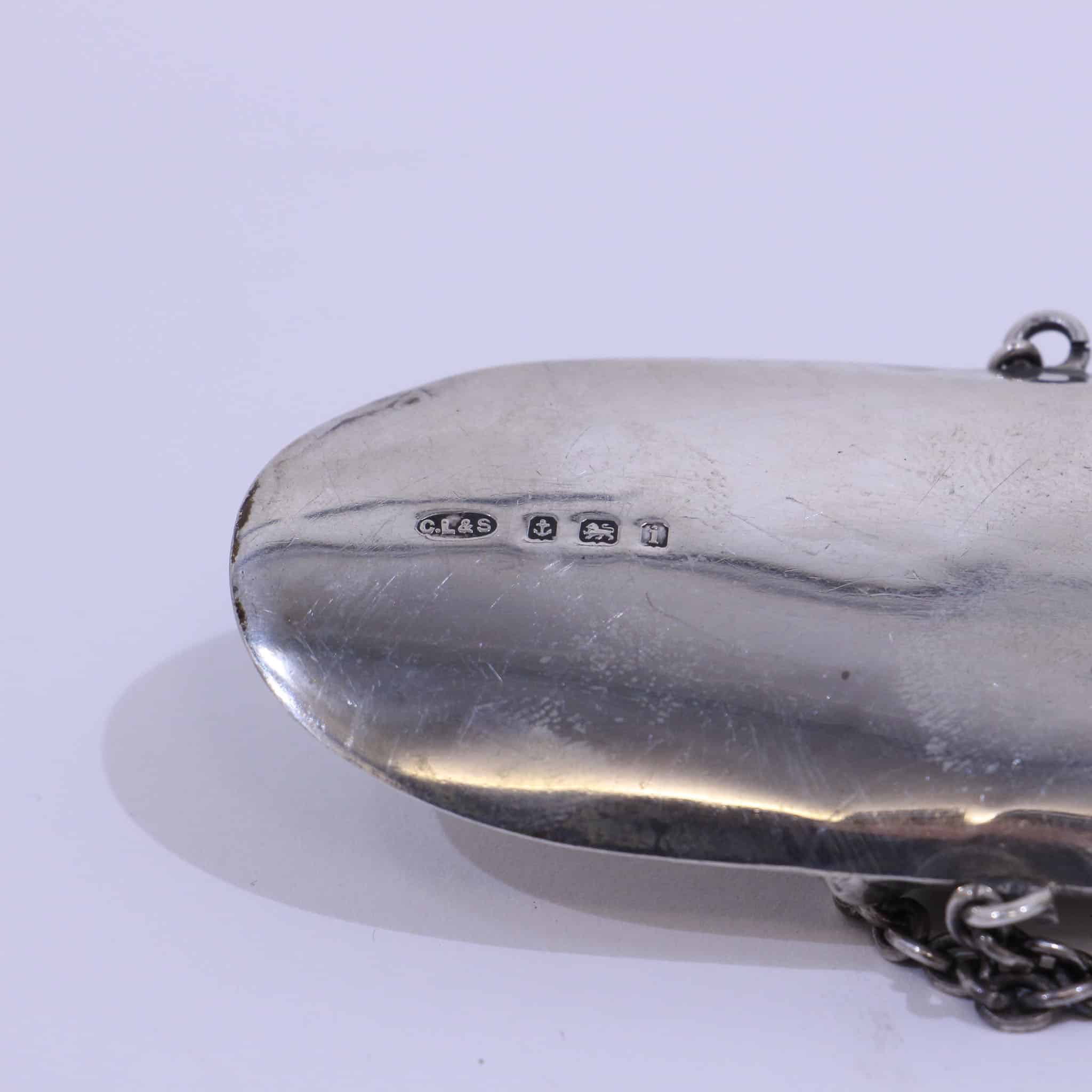 Silver Spectacle Chatelaine Case