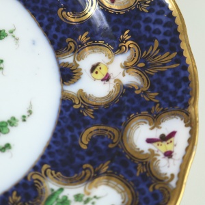 A fine antique porcelain hand-painted Edmé Samson Worcester style Plate C.1890