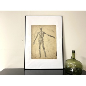 Dr Munz Fecit, A 19th Century Anatomical Etching