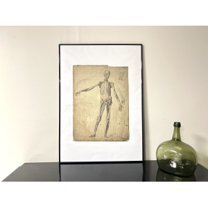 Dr Munz Fecit, A 19th Century Anatomical Etching