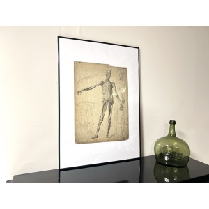Dr Munz Fecit, A 19th Century Anatomical Etching