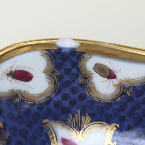 A fine antique porcelain hand-painted Edmé Samson Worcester style Bowl C.1890