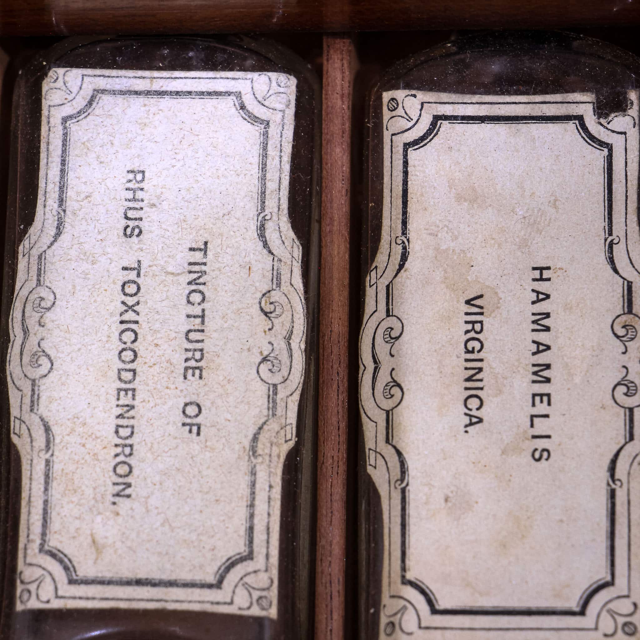 Victorian Homeopathy Box