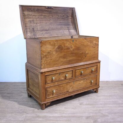 Country-house Elm Mule Chest - Image 5