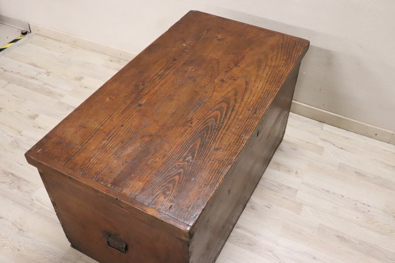 Antique Rustic Trunk In Fir Wood