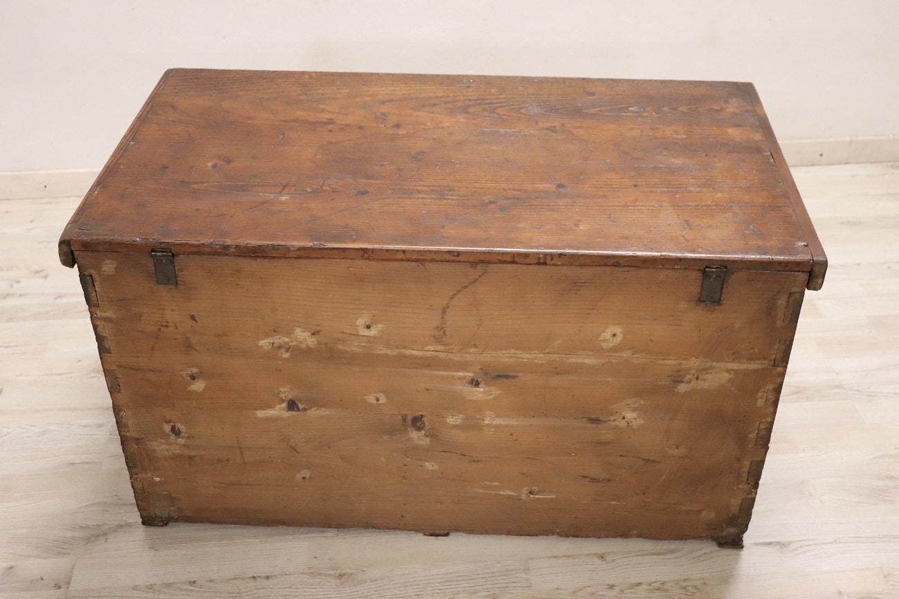Antique Rustic Trunk In Fir Wood