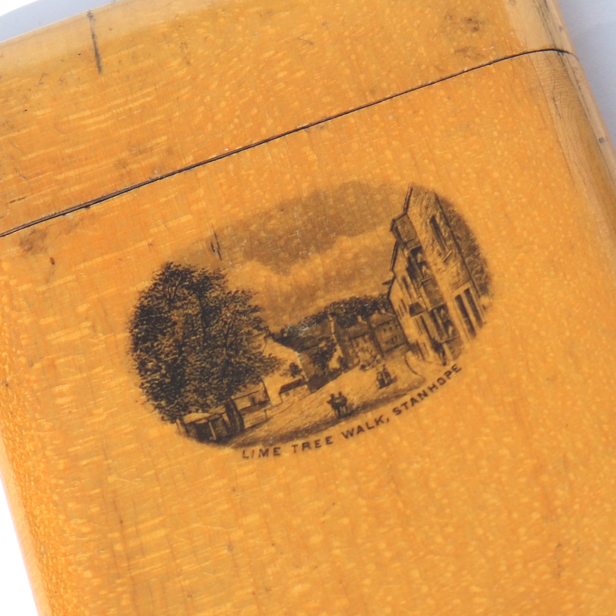 An antique Victorian sycamore Mauchline Ware Card Case Lime Tree Walk Stanhope C.19thC