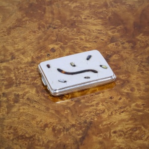 Sampson Mordan Silver Shibayama Match Case