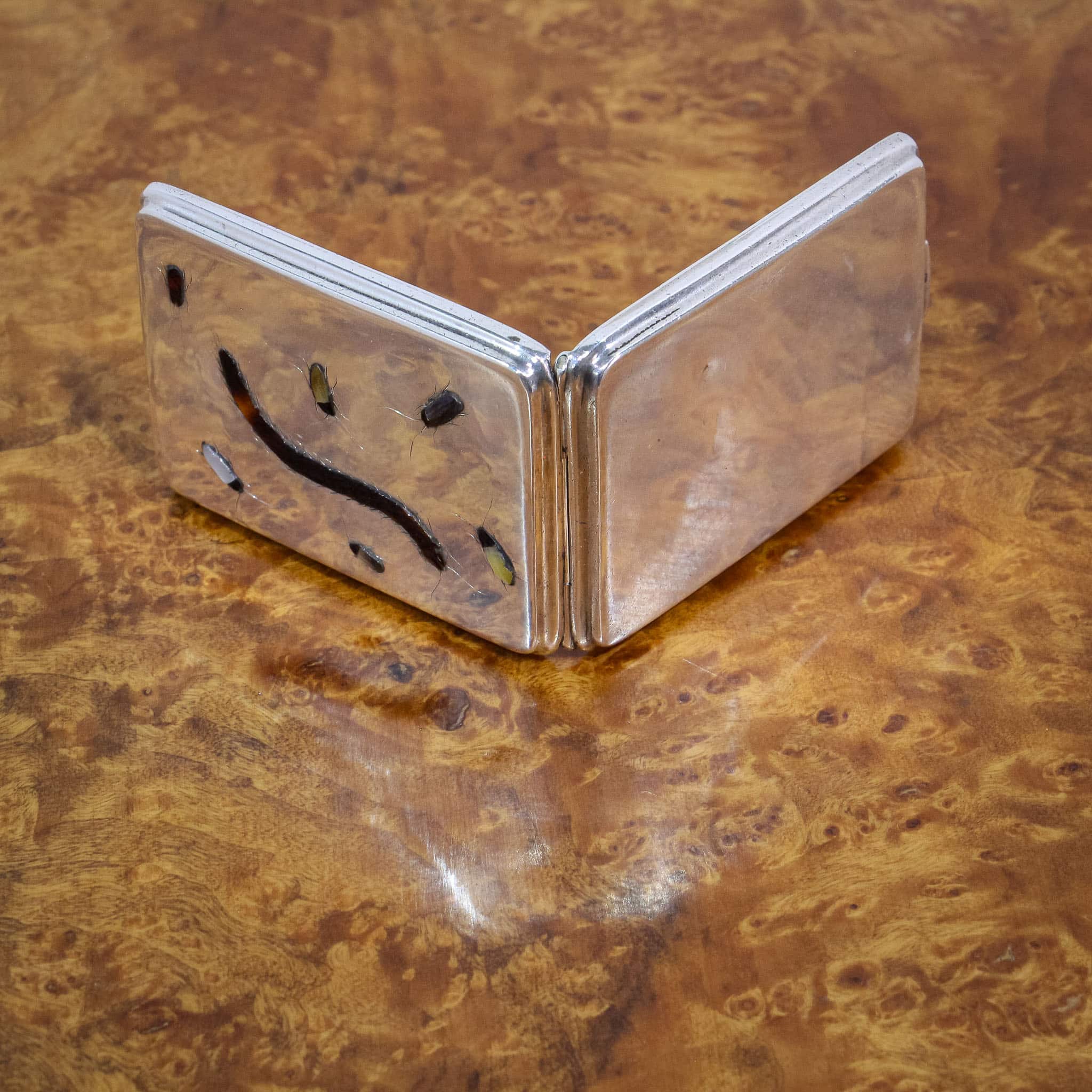 Sampson Mordan Silver Shibayama Match Case