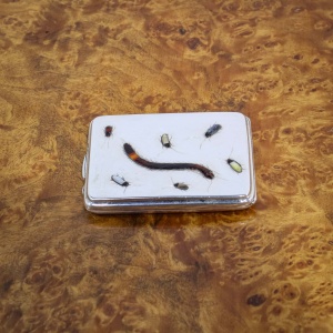Sampson Mordan Silver Shibayama Match Case