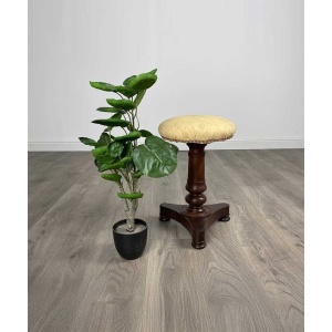 Antique 19th Century Piano Stool In Mahogany