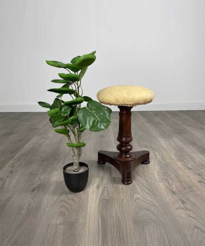 Antique 19th Century Piano Stool In Mahogany