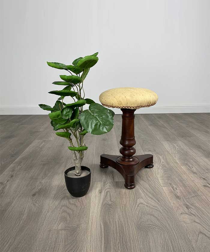 Antique 19th Century Piano Stool In Mahogany