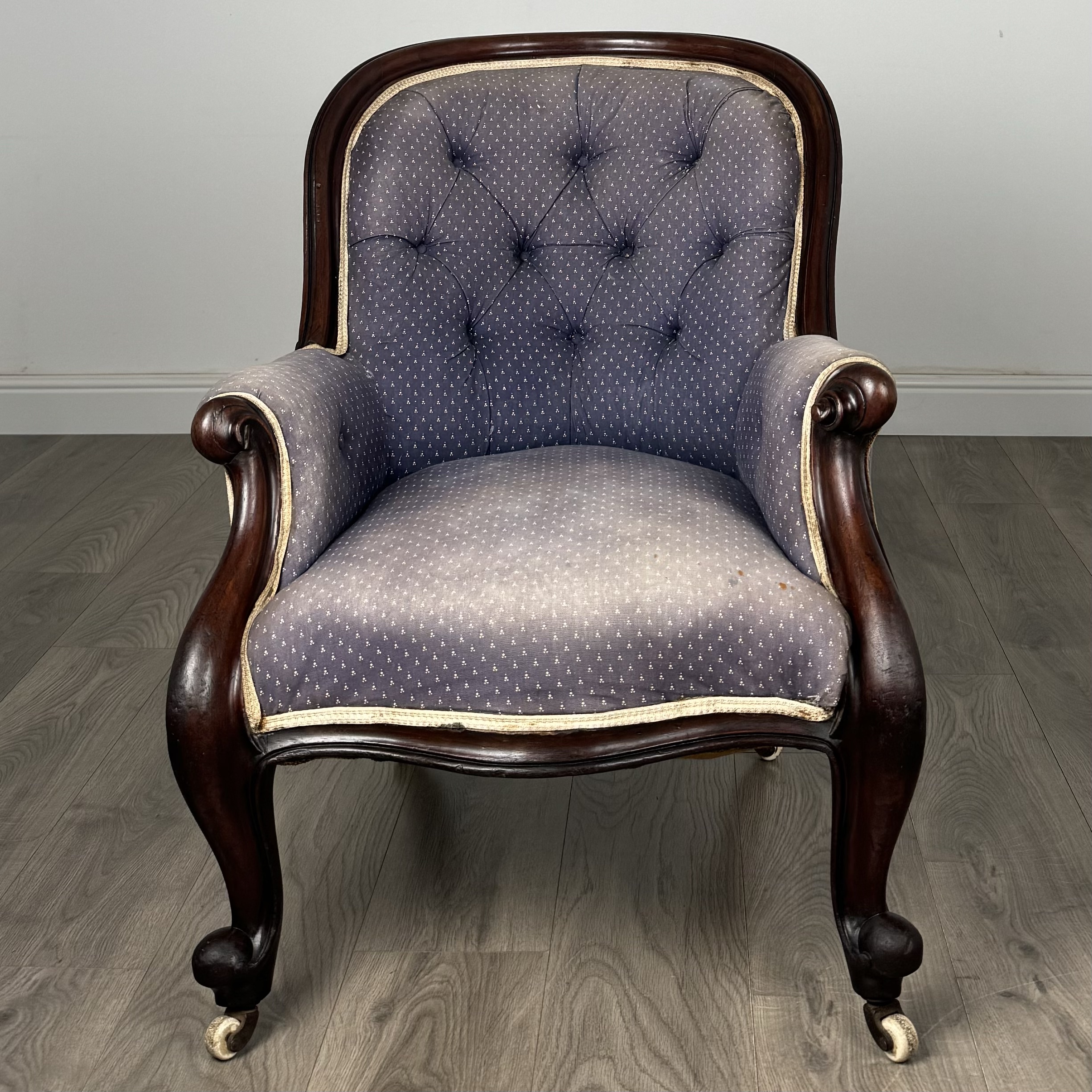 Antique 19th Century Button Back Armchair In Mahogany