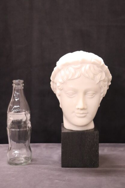 Head of a Young Bacchus, 20th Century, White Marble Sculpture - Image 2