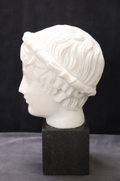 Head of a Young Bacchus, 20th Century, White Marble Sculpture - Image 3