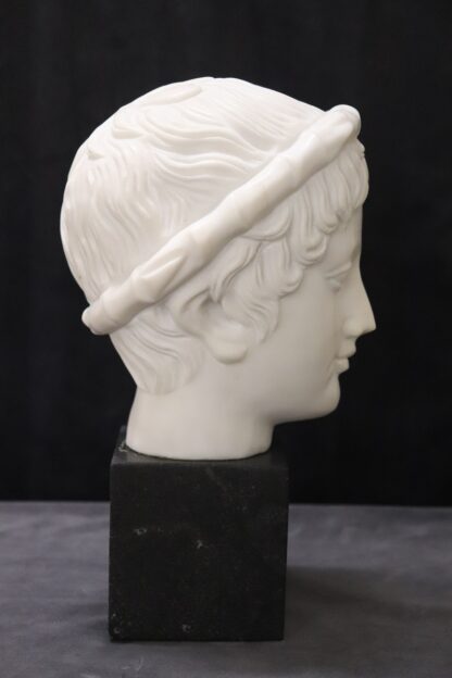 Head of a Young Bacchus, 20th Century, White Marble Sculpture - Image 5