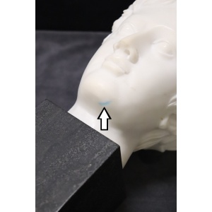 Head of a Young Bacchus, 20th Century, White Marble Sculpture