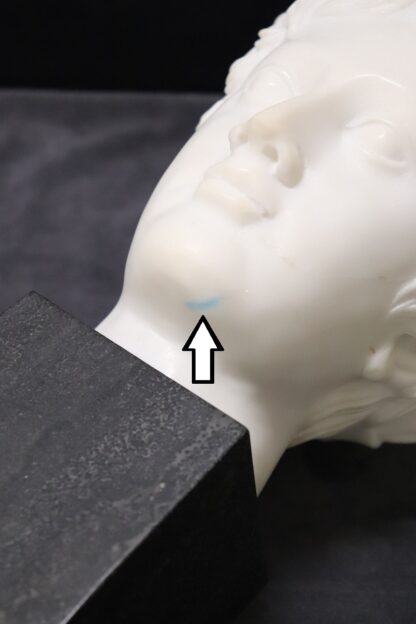 Head of a Young Bacchus, 20th Century, White Marble Sculpture - Image 7