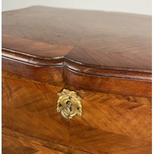 Antique 19th Century French Cabinet In Kingswood