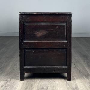 Antique 18th Century Coffer / Mule Chest In Oak