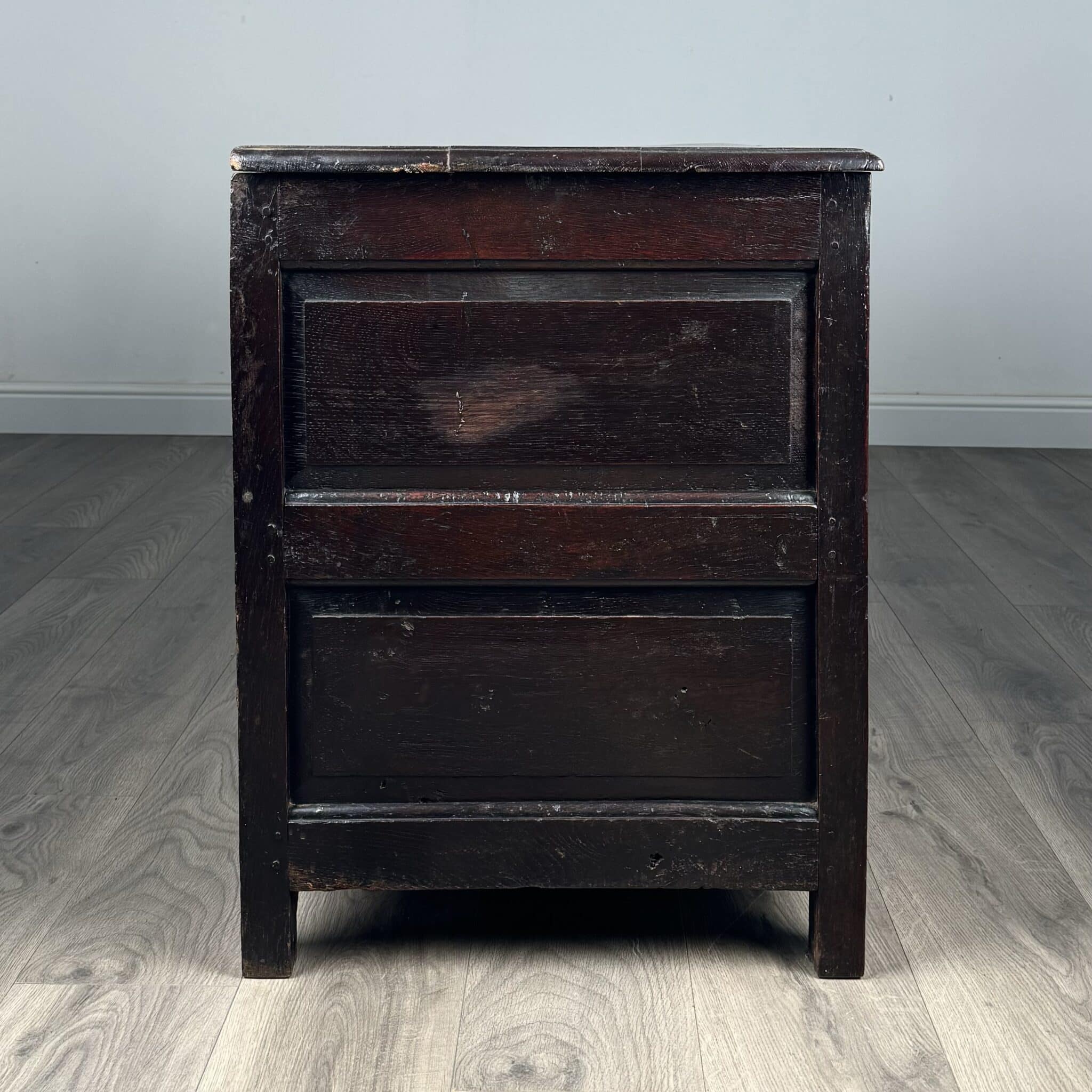 Antique 18th Century Coffer / Mule Chest In Oak