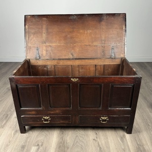 Antique 18th Century Coffer / Mule Chest In Oak