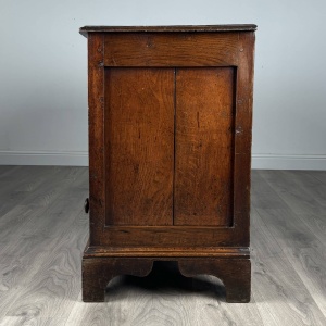 Antique 18th Century Mule Chest / Coffer In Oak