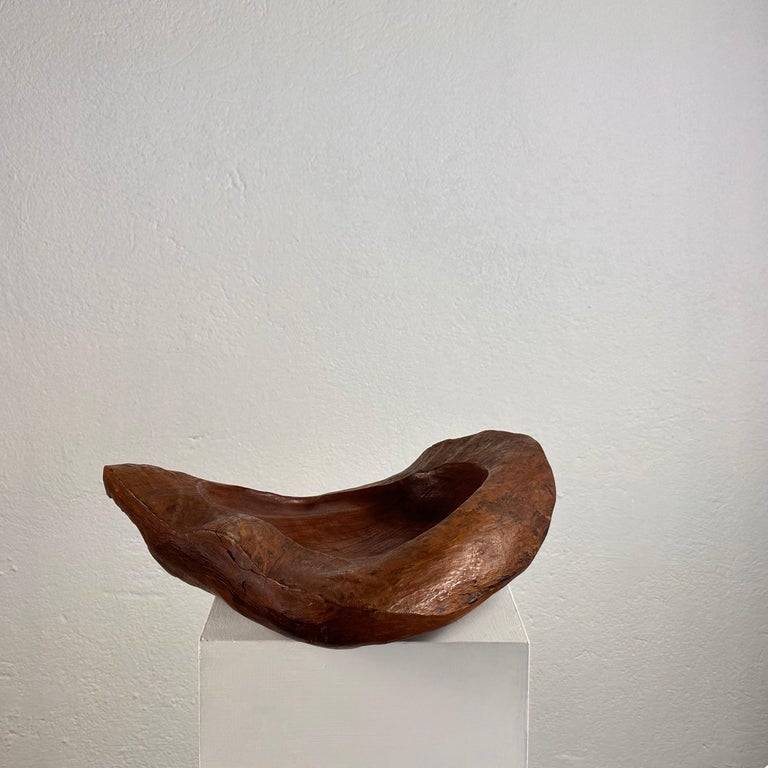Briar Wood Live Edge Carved Bowl/Centerpiece, Italy, Unique Piece, 1960s