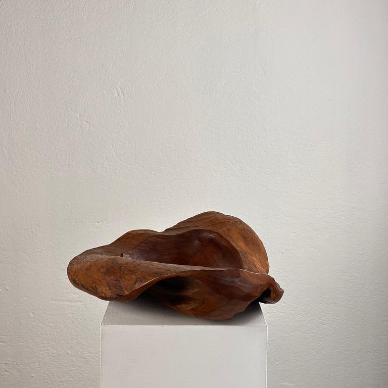 Briar Wood Live Edge Carved Bowl/Centerpiece, Italy, Unique Piece, 1960s