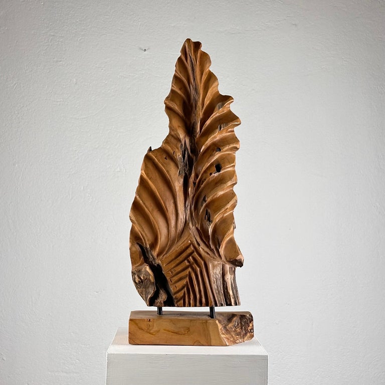 Exquisite Italian Phytomorphic Abstract Sculpture in Natural Ash, 1960s